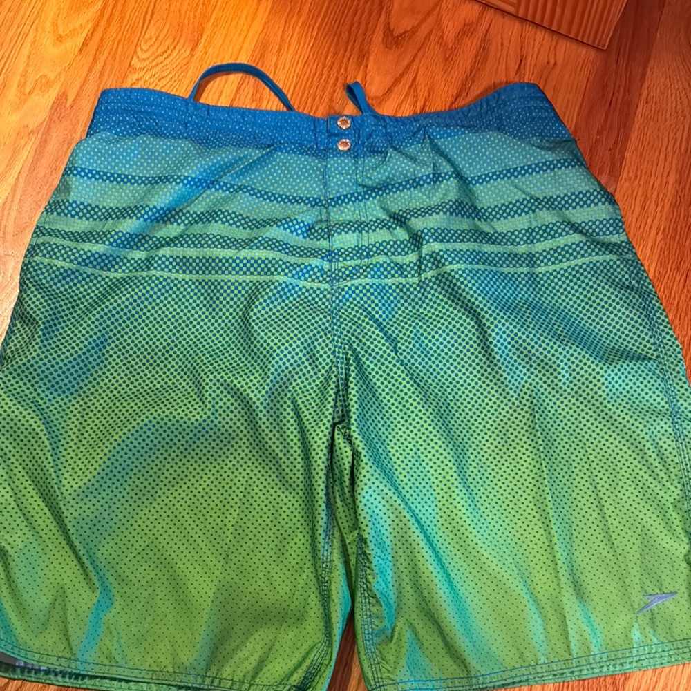 Speedo Blue and Green Board Shorts Ombré Design